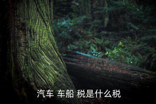 汽車車船稅是怎么樣,車船稅是對(duì)車輛、船舶征收的稅