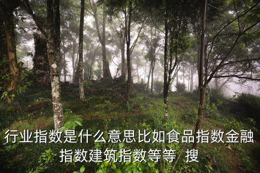 申萬行業(yè)指數(shù)是什么，申萬證券行業(yè)指數(shù)分級是什么指數(shù)基金嗎