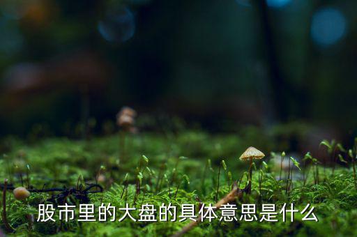 股票中大盤是什么意思，股市里的大盤的具體意思是什么