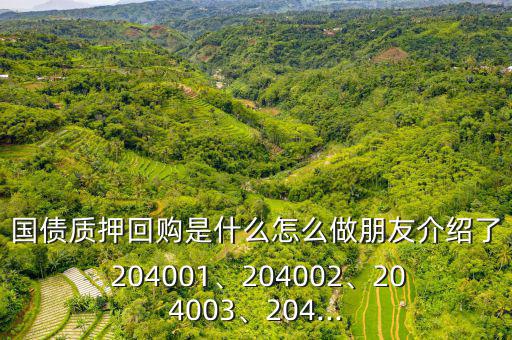 國(guó)債質(zhì)押回購(gòu)是什么怎么做朋友介紹了 204001、204002、204003、204...