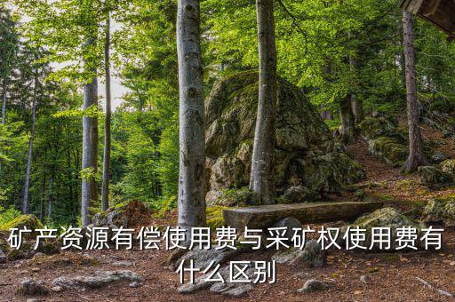 什么是采礦權(quán)價款資金占用費，資金占用費是怎么回事