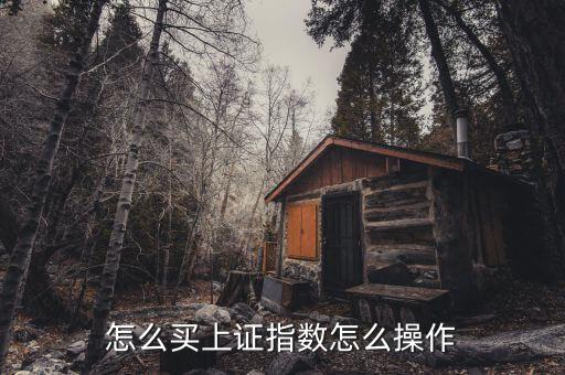 怎么買上證指數怎么操作