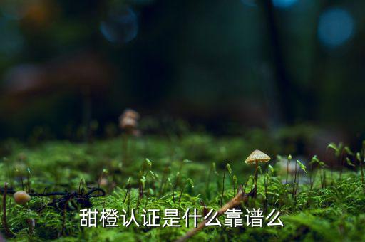 甜橙金融公司是什么，便捷的網(wǎng)貸理財企業(yè)是什么