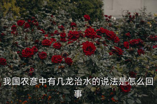 三龍治水是什么意思，幾屠共豬 幾龍治水做何解