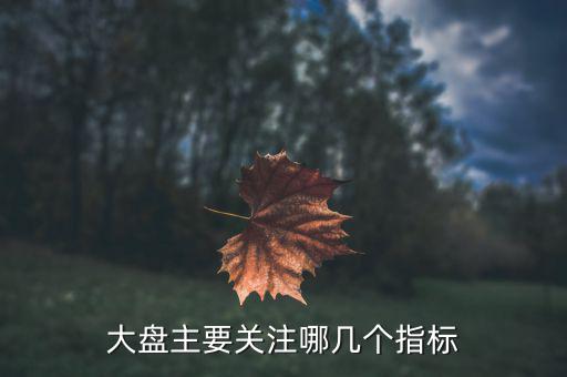 股市大盤關(guān)注什么指數(shù)，大家看大盤走勢(shì)都是看的哪個(gè)指數(shù)