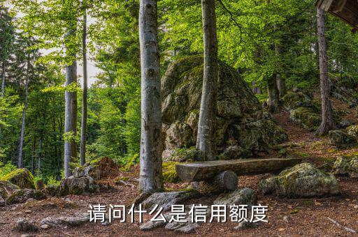 信用額度是什么意思，信用額度是什么意思