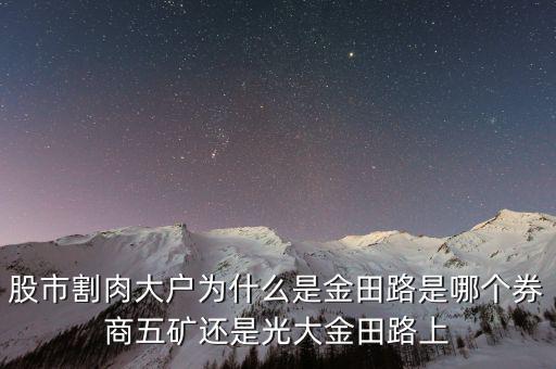 為什么益田路總割肉，股市割肉大戶為什么是金田路是哪個(gè)券商五礦還是光大金田路上
