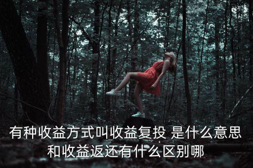 按月復(fù)投是什么意思，本息復(fù)投是什么意思