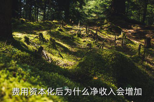 為什么資本化會使roa增加，法定存款準(zhǔn)備金率的提高對ROA的影響謝謝啦