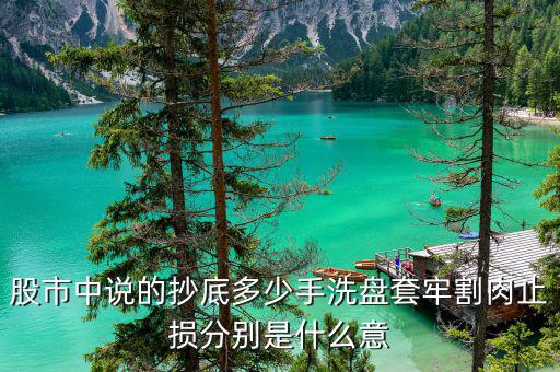 莊家固定幾手的持續(xù)買(mǎi)進(jìn)什么意思，莊家不停的固定幾手拋是什么意思 比如002430 4月25日 9手9手的拋