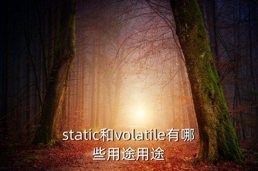 vtm有什么用，static和volatile有哪些用途用途