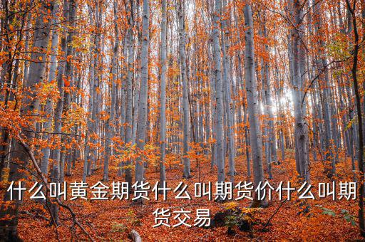 什么是期貨價(jià)，什么叫黃金期貨什么叫期貨價(jià)什么叫期貨交易