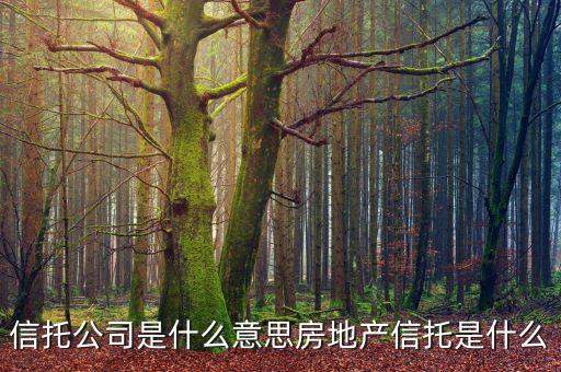 信托公司是什么意思房地產信托是什么