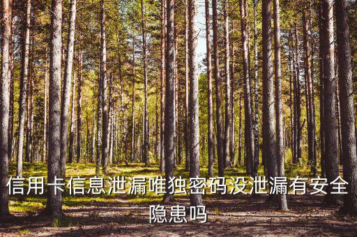 信用卡信息泄露有什么風(fēng)險，信用卡信息泄漏唯獨密碼沒泄漏有安全隱患嗎