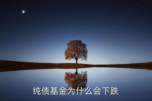 為什么純債基也會(huì)下跌，純債基金為什么會(huì)下跌