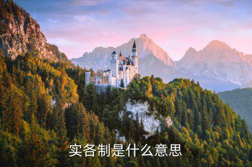 什么是實貨制，實體制是什么意思