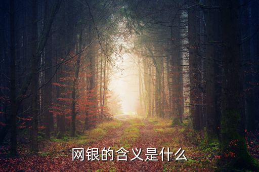 網(wǎng)銀存入代表什么意思，網(wǎng)銀的含義是什么