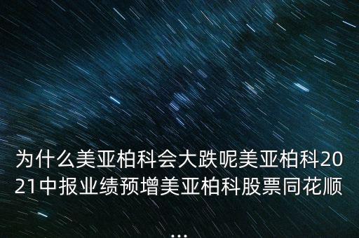 美亞桕科怎么停盤了呢,網(wǎng)絡安全優(yōu)質企業(yè)美亞貝克正式成立