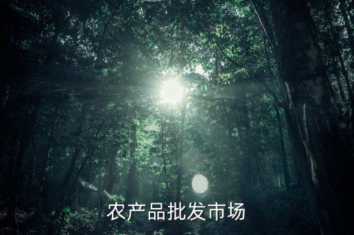 什么是公益性農(nóng)產(chǎn)品批發(fā)市場(chǎng)，談?wù)勅绾渭訌?qiáng)和完善公益性農(nóng)貿(mào)市場(chǎng)建設(shè)