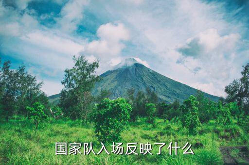 國家隊進場是什么意思，國家隊入場反映了什么