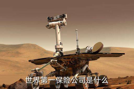 世界第一保險公司是什么