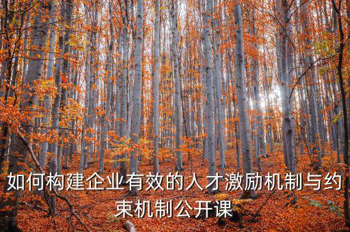 財務激勵與約束機制的設計原則是什么，財務激勵約束機制的概念是什么