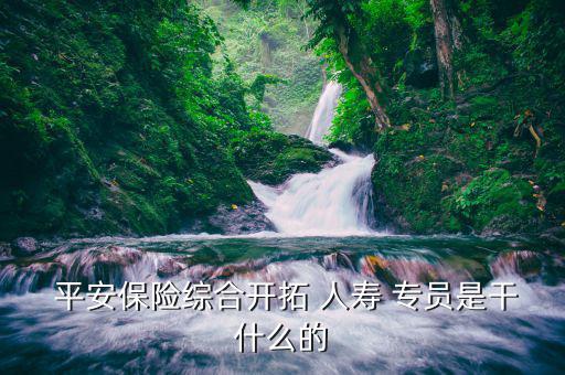 平安人壽金融專(zhuān)員是怎么工作的,招聘哪些保險(xiǎn)專(zhuān)才?