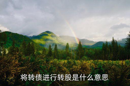 什么是債轉(zhuǎn)股，將轉(zhuǎn)債進(jìn)行轉(zhuǎn)股是什么意思