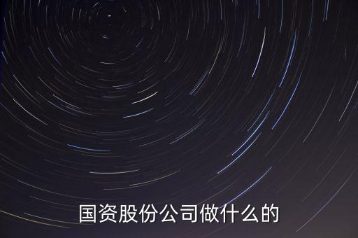 國資公司是做什么的，國資股份公司做什么的