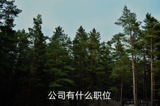 復(fù)星集團(tuán)核心崗位是什么，公司有什么職位