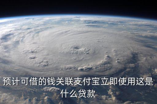 預計可借的錢關聯支付寶立即使用這是什么貸款