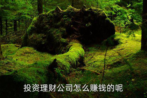 財(cái)牛投資靠什么賺錢(qián)，投資理財(cái)公司靠什么賺錢(qián)