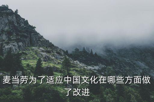 麥當勞中國的愿景是什么，麥當勞為了適應(yīng)中國文化在哪些方面做了改進