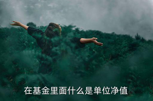 什么是基金單位凈值，基金單位凈值是什么意思