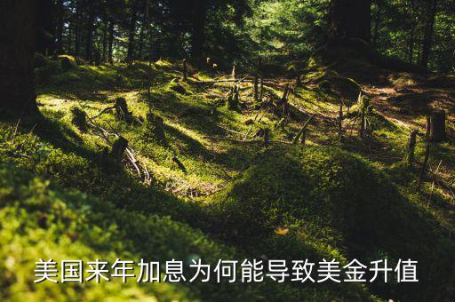 美聯(lián)儲加息為什么會使美元升值，美國來年加息為何能導(dǎo)致美金升值