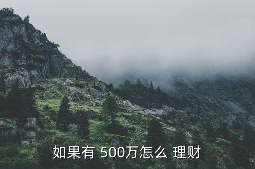 500萬(wàn)元錢(qián)怎么投資理財(cái),理財(cái)新規(guī)劃