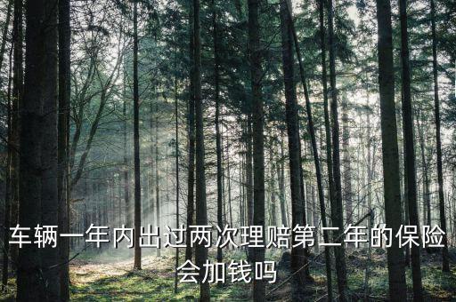 一年中兩次事故理培有什么影響，車輛一年內(nèi)出過兩次理賠第二年的保險(xiǎn)會加錢嗎
