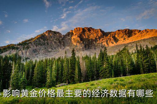 什么數(shù)據(jù)會(huì)影響黃金，影響黃金價(jià)格最主要的經(jīng)濟(jì)數(shù)據(jù)有哪些