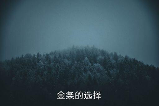 2O16什么金條保值，金條的選擇