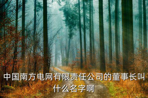 南方電網(wǎng)董事長是什么級別，南方電網(wǎng)是的老總是部級嗎