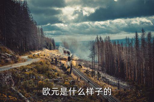 500面值似的歐元是什么樣的，500歐元是什么樣子的價值人民幣是多少大神們幫幫忙