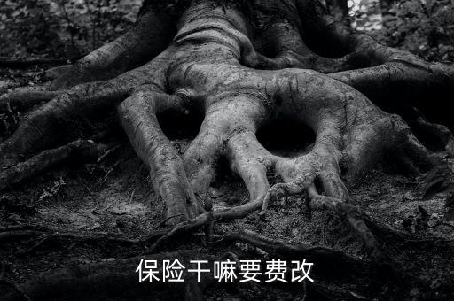 什么是費改產(chǎn)品，移動營業(yè)廳不能由用戶老產(chǎn)品轉換成當前產(chǎn)品什么意思
