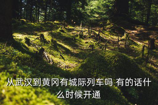 武漢至黃岡城際鐵路什么時候通車，從武漢到黃岡有城際列車嗎 有的話什么時候開通