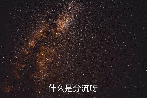 大分流指的是什么，大學(xué)分流有什么一流大學(xué)還有二流大學(xué)以及三流大學(xué)是怎么劃分