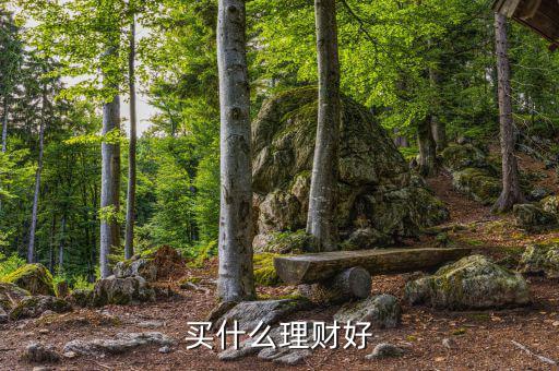 買什么理財(cái)產(chǎn)品，買什么理財(cái)好