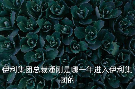 潘剛什么背景，潘剛是哪里人啊