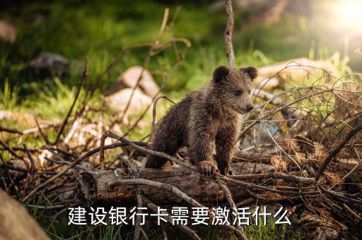 建行信用卡激活需要什么，激活信用卡需要準(zhǔn)備什么東西身份證和戶口本