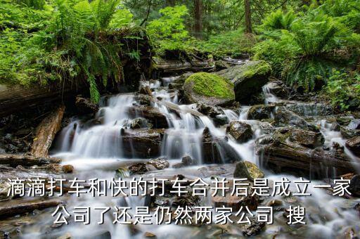 滴滴快的合并后叫什么，滴滴打車和快的打車合并后是成立一家公司了還是仍然兩家公司  搜