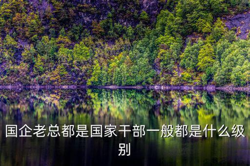 中交地產(chǎn)總經(jīng)理屬于什么級(jí)別干部，國企老總都是國家干部一般都是什么級(jí)別