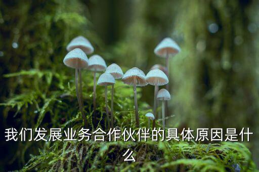 為什么要發(fā)展同業(yè)業(yè)務(wù)，匯付天下之前說要大力發(fā)展同業(yè)業(yè)務(wù)同業(yè)業(yè)務(wù)指的是甚么